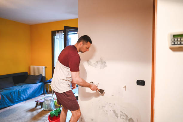 Best Toxic Mold Removal  in Webster, TX